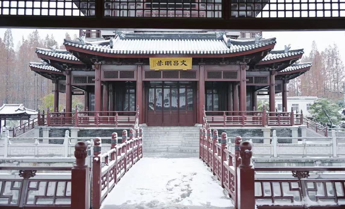 平舆：雪落无声意悠悠