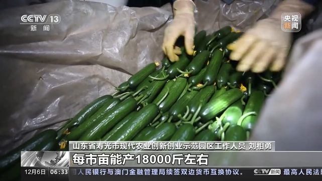 产品总量充足、三大举措保供稳价，记者一线探访“菜篮子”