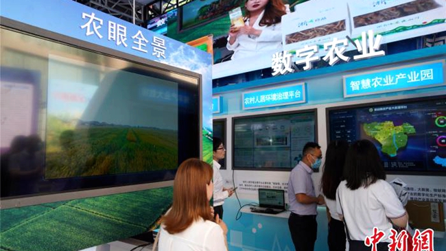 【中国新闻网】“数”说乡村振兴 专家心中有“数”