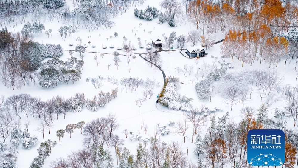 云赏商都绝美雪霁图