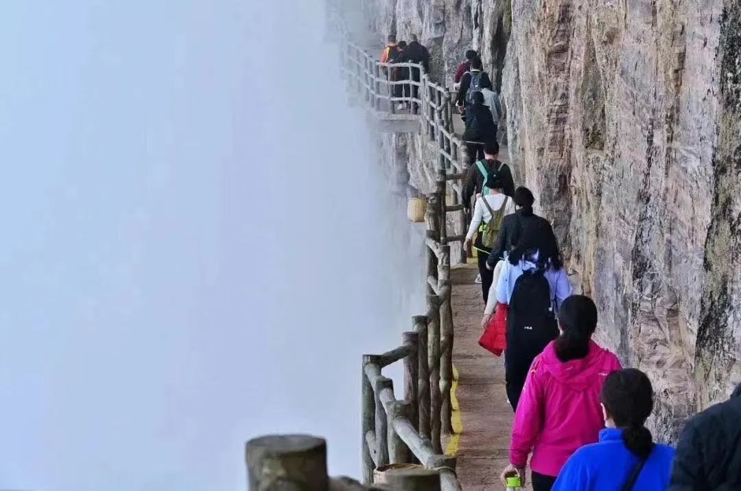 行走河南·读懂中国 | 新乡南太行：最美春日等您赴约
