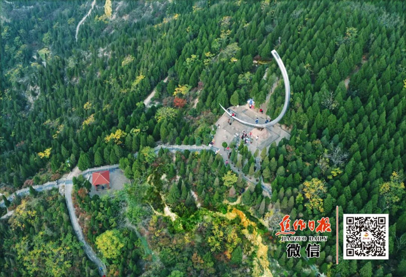 行走河南·读懂中国丨焦作：“森林+”赋能乡村振兴