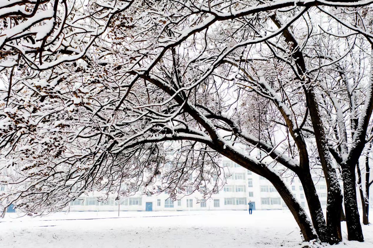 吉林工商学院雪景图片