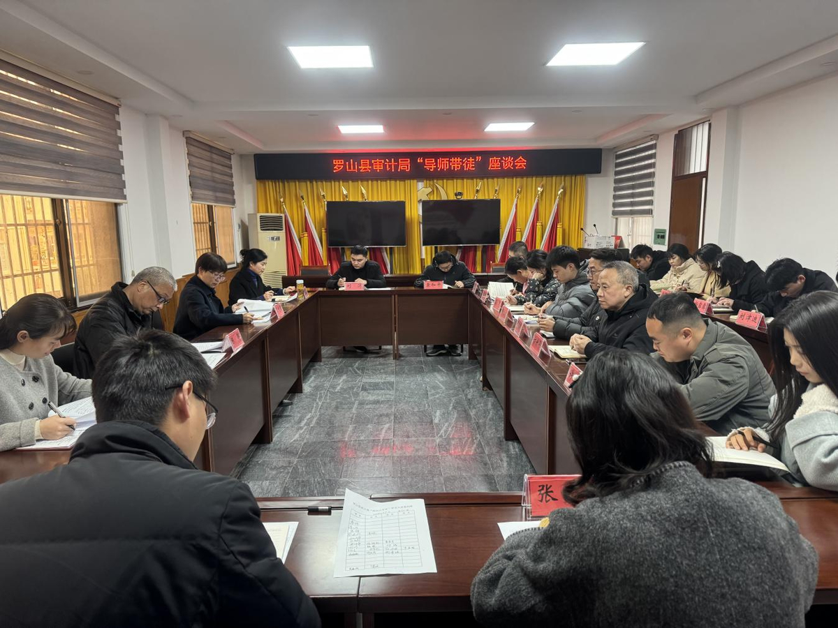 罗山县审计局召开“导师带徒”工作座谈会