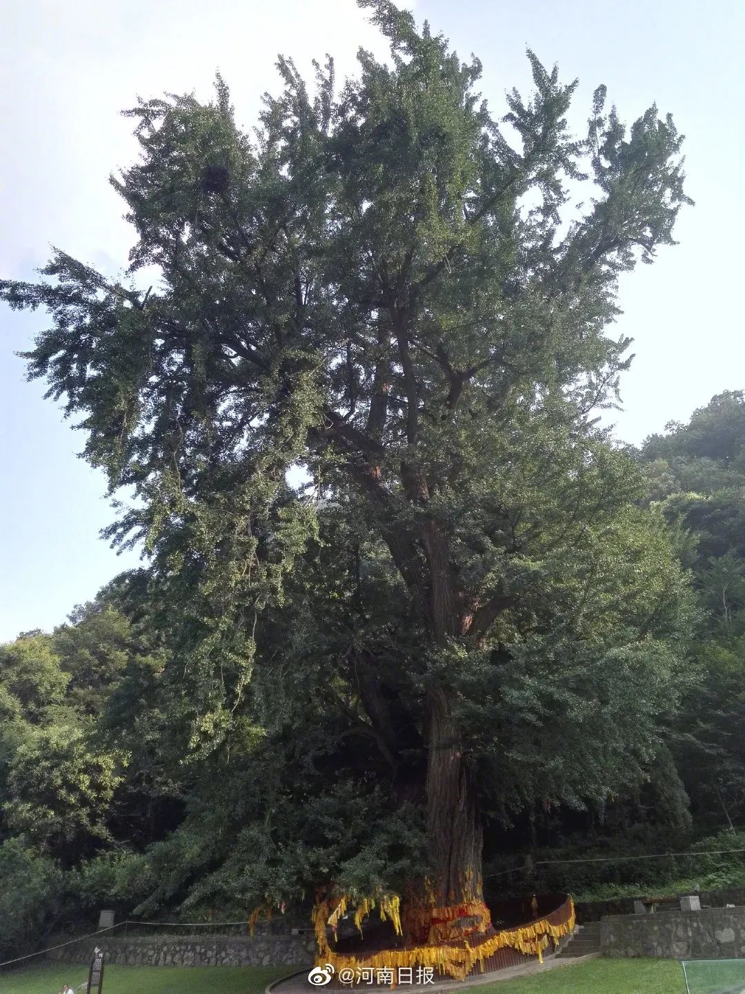 河南是全国  生物多样性最丰富的省份之一