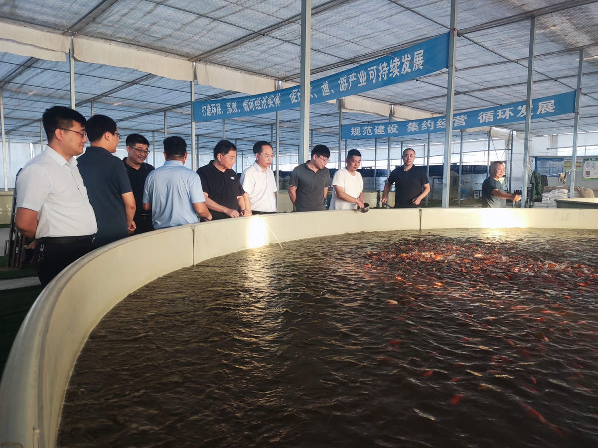 省农业农村厅到新安调研乡村 特色产业发展  深化政银企合作
