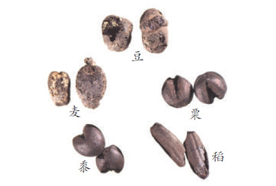 科技考古助力中华文明探源