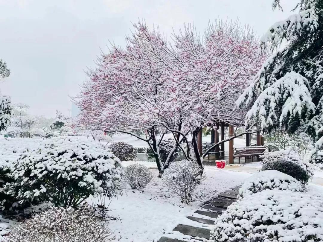 瑞雪兆丰年！你那里下雪了吗？