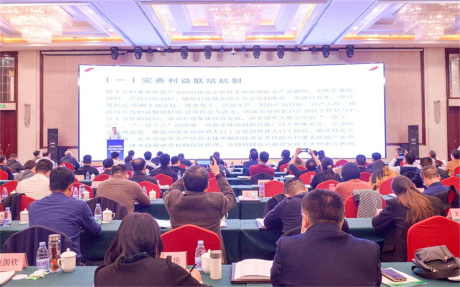 河南省乡村康养旅游示范村创建工作推进暨大别山片区培训会在信阳举行