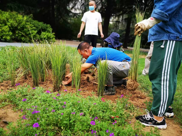 郑州市碧沙岗公园全力以赴<br>做好“喜迎二十大”氛围营造工作