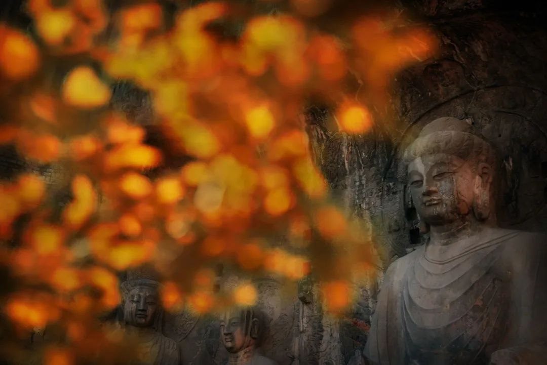 龙门石窟：“美拉德”氛围感拉满