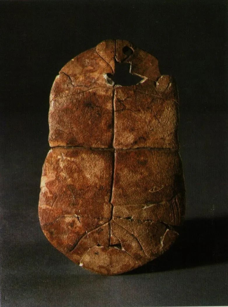 ýԥحл̽Դ“ǧ侣ǧԴֺ”