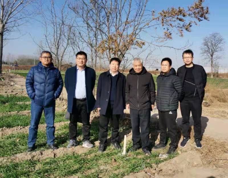 黄河流域林木育种创新中心项目开展土地确权定界工作