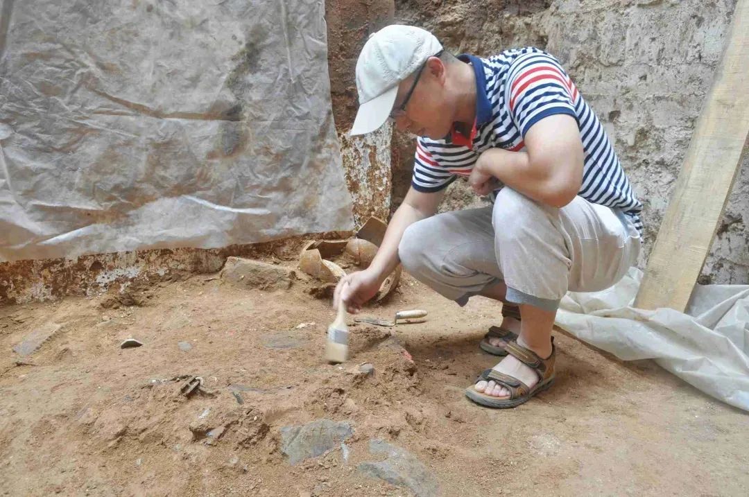 劳动者之歌｜洛阳市考古研究院汉魏研究室主任、研究馆员王咸秋：田野考古“追光者”