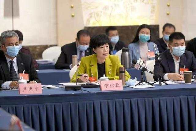 河南代表团审议全国人大常委会工作报告“两高”报告等