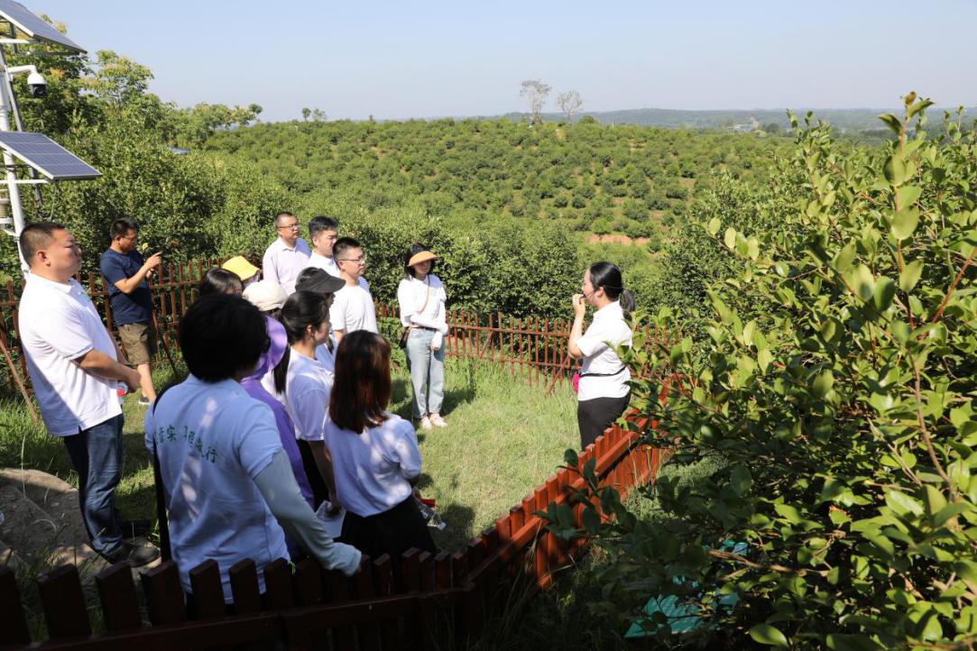 河南高校开展“寻访总书记足迹 牢记领袖嘱托”暑期行走大思政实践活动  新闻资讯  第9张