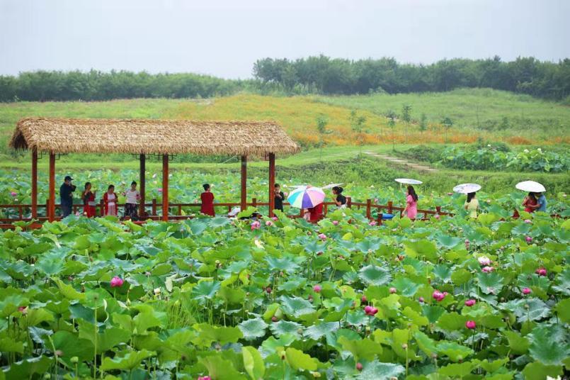 【行走河南·读懂中国】信阳罗山：农旅融合新模式 擦亮产业发展新名片