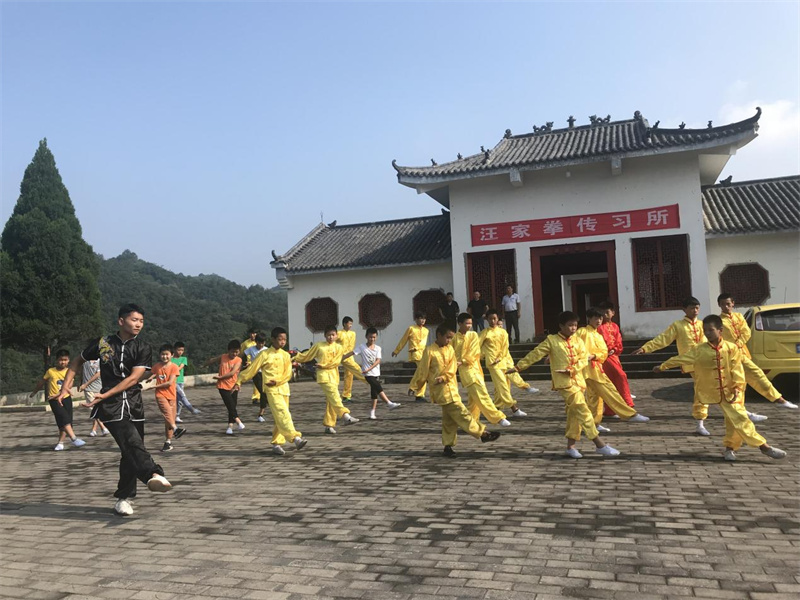 信阳市2022年度优秀非遗实践案例⑩丨浉河：汪家拳以武育文明乡风