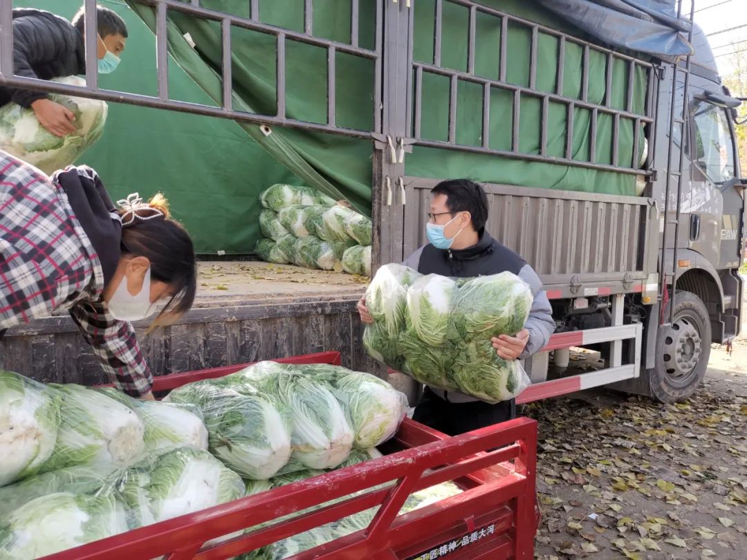 焦作文旅助农卖菜