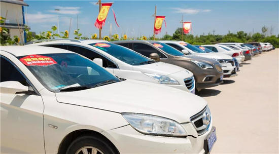 千人自驾游亳州 !豫驾亳州·畅享自游自驾游