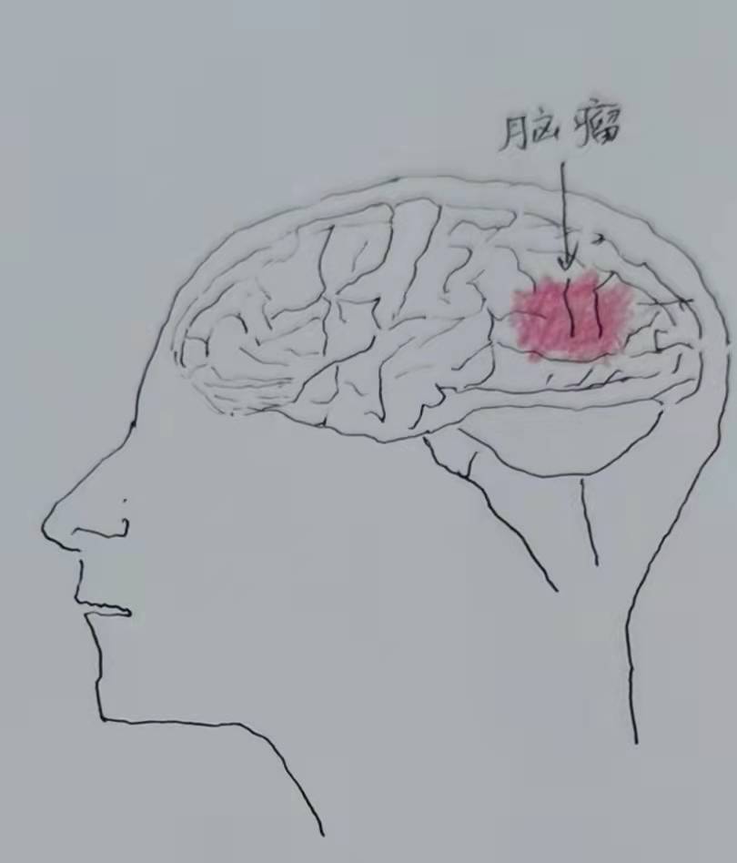 clip_image003.jpg