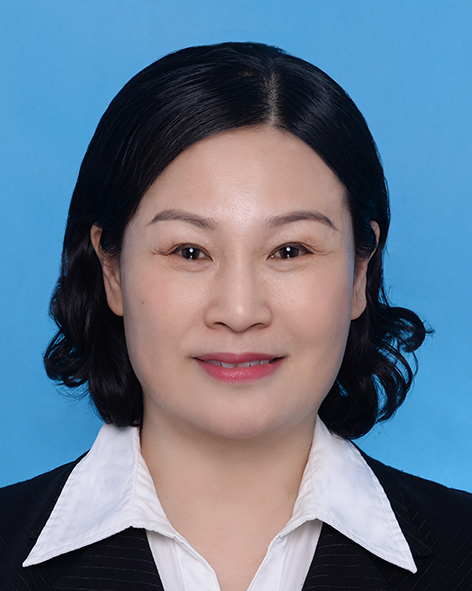河南省统计局党组成员、副局长  季红梅