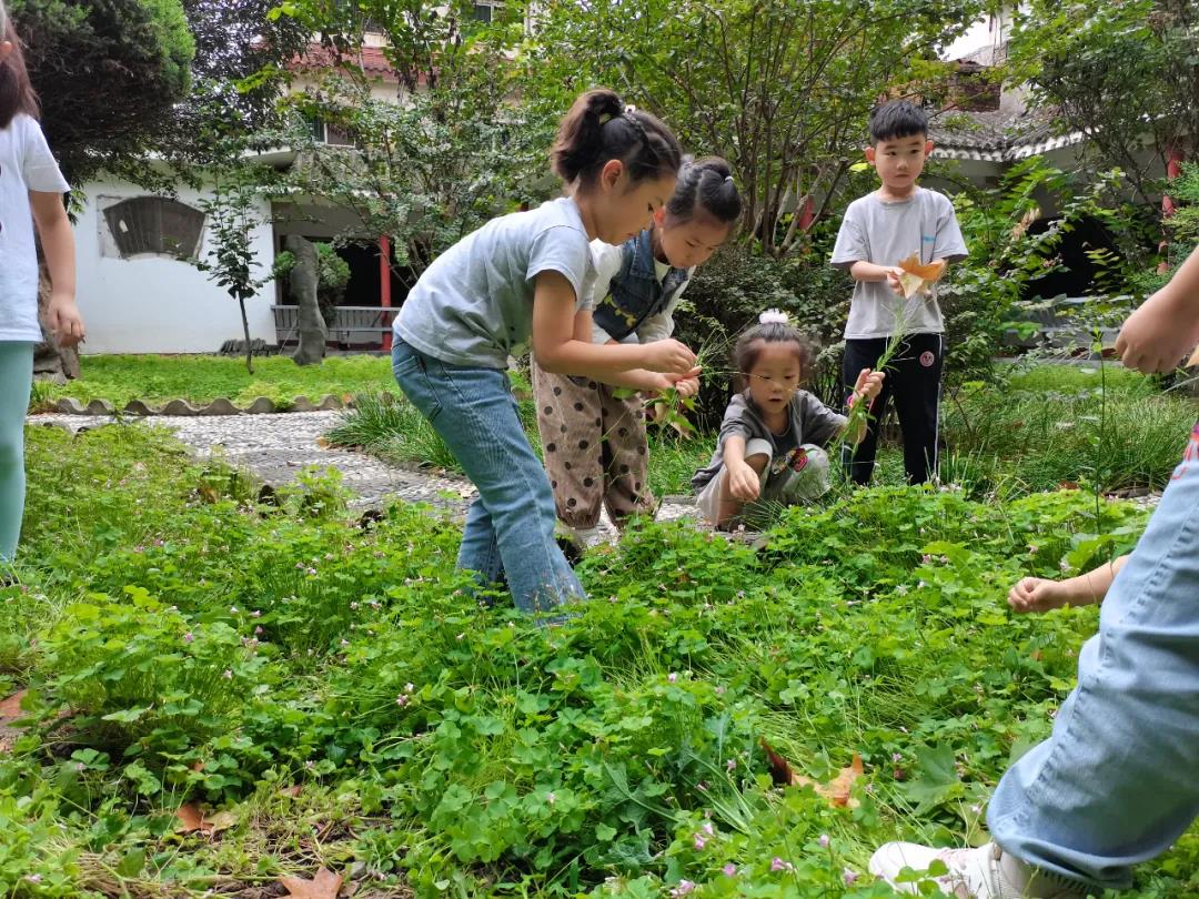 致敬劳动，礼赞丰收