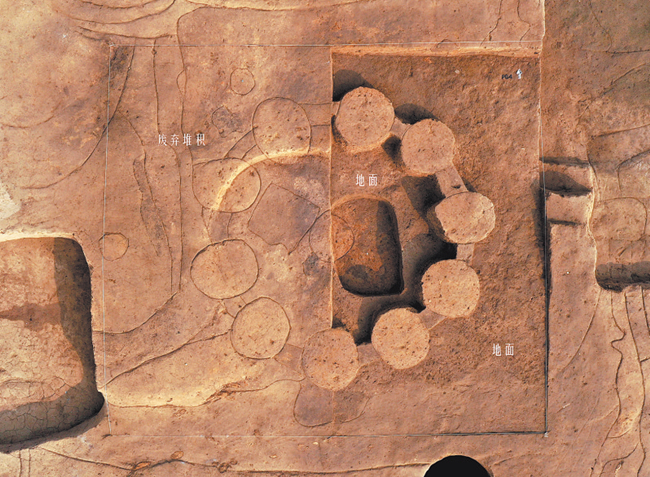 “考古中國(guó)”發(fā)布五項(xiàng)重大考古新成果 河南占其四