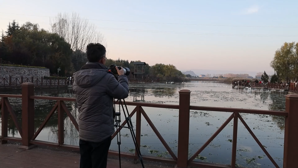 新时代中国调研行之看区域·中部篇｜生态中部：追天鹅的人