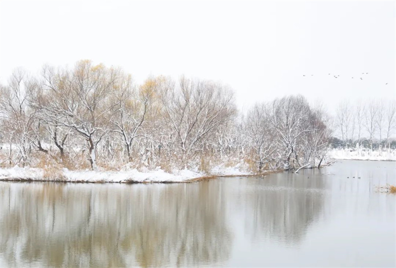 雪在黃河邊落成一幅畫