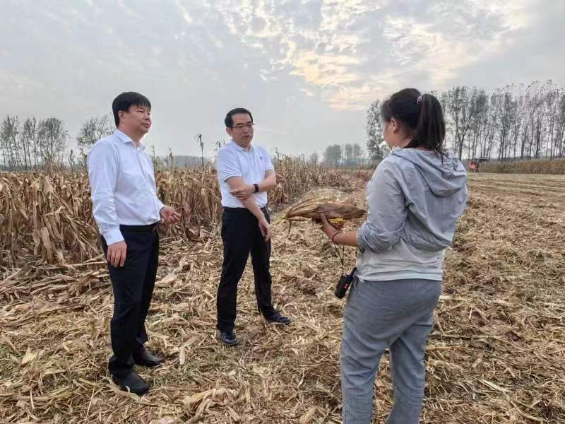 孙巍峰在信阳、驻马店察看秋收工作时强调抢字当头 全力以赴 确保丰收到手颗粒归仓