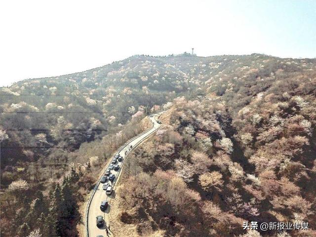 信阳市十佳精品旅游线路评选投票开启