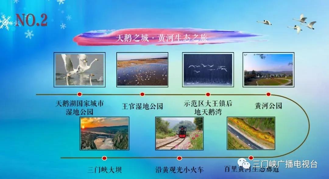 【行走河南·讀懂中國(guó)】河南人游河南，2021三門(mén)峽白天鵝旅游季正式啟動(dòng)