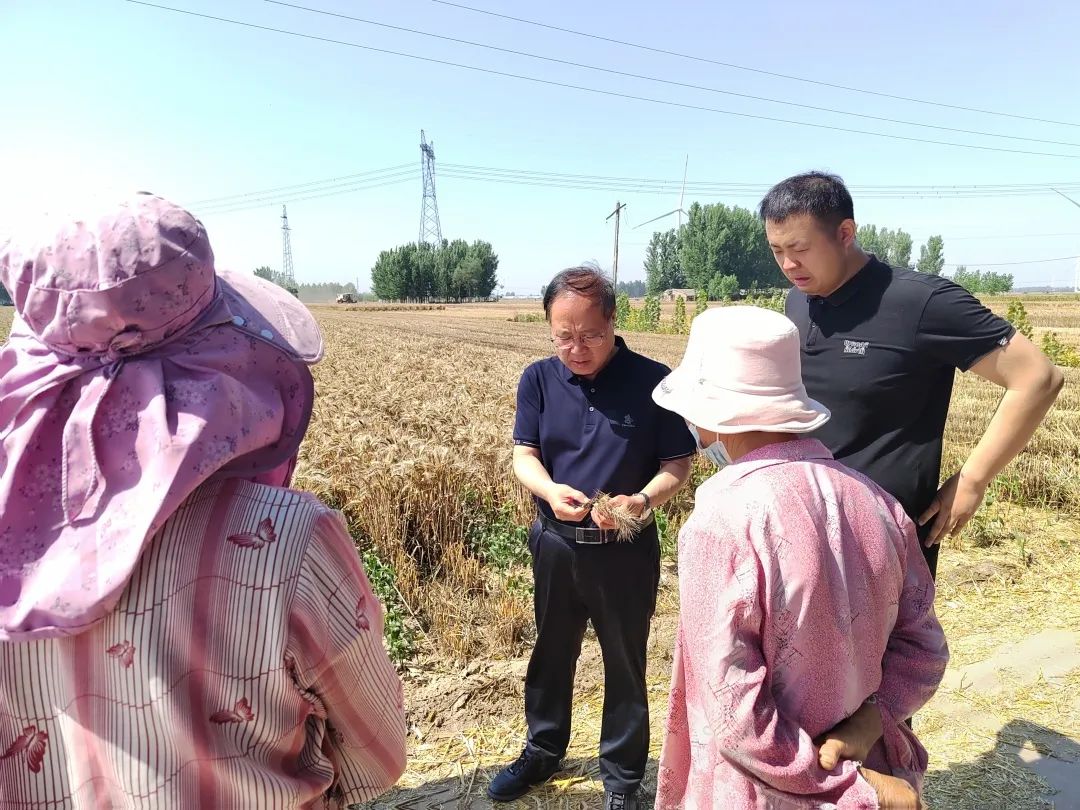 护航三夏｜郑州、安阳、焦作、驻马店等地市场监管部门强化监督检查<br>全力维护夏粮收购市场秩序