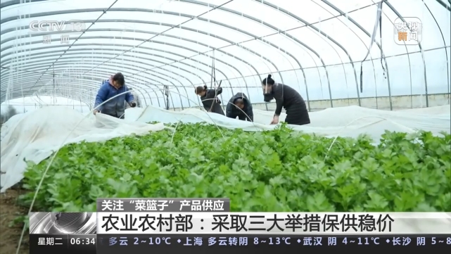 产品总量充足、三大举措保供稳价，记者一线探访“菜篮子”