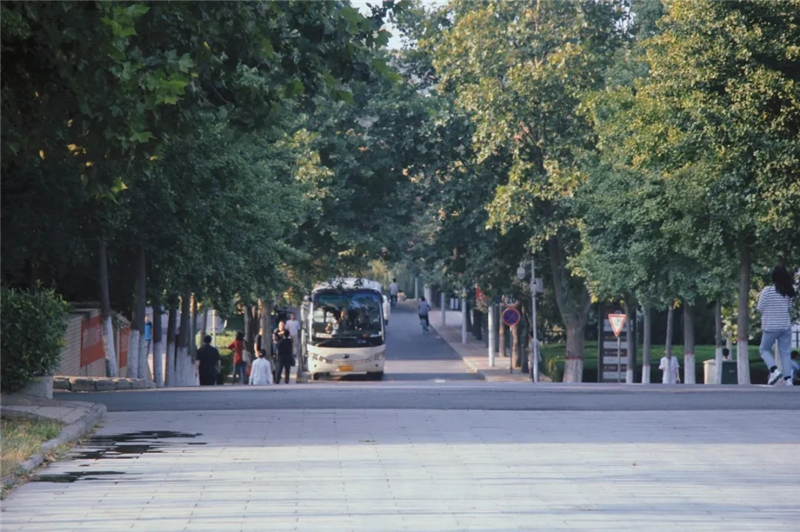 那些年，你走过的大学校园路