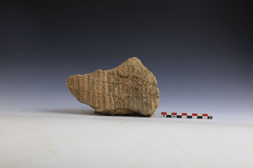 安阳发现距今约7800年聚落遗址