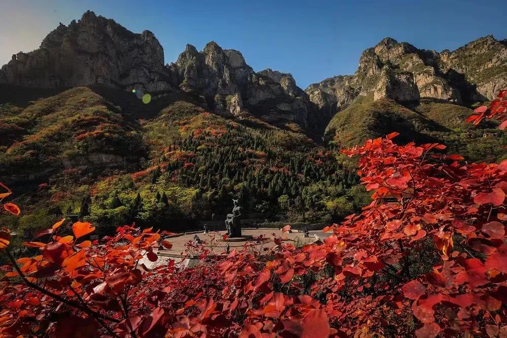 大美河南 | 神农山：漫山红叶层林尽染 一山秋色醉游人