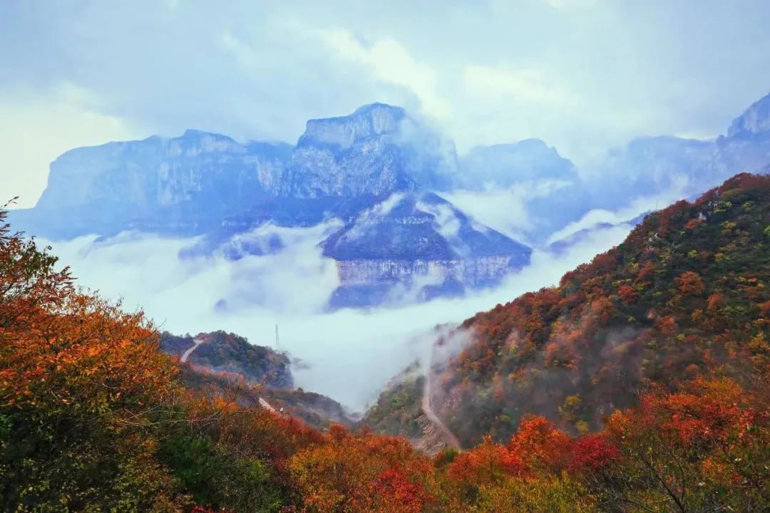 秋游新乡，看漫山红遍层林尽染