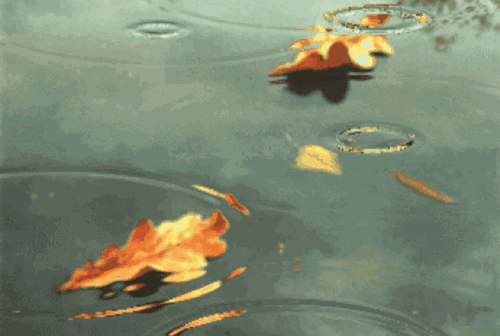 明天夜间起阴雨将频繁上线