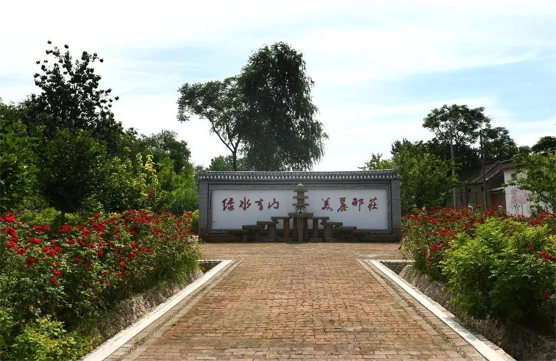 行走河南·读懂中国丨宝丰邢庄村：移步换景 酒香盈村