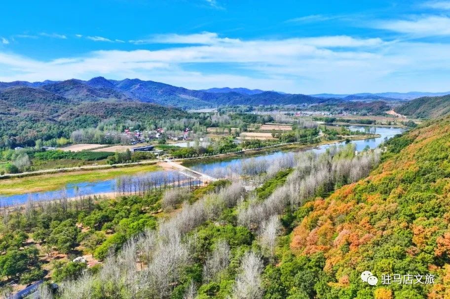 【行走河南·读懂中国】走进瓦岗 共赴一场山水之约