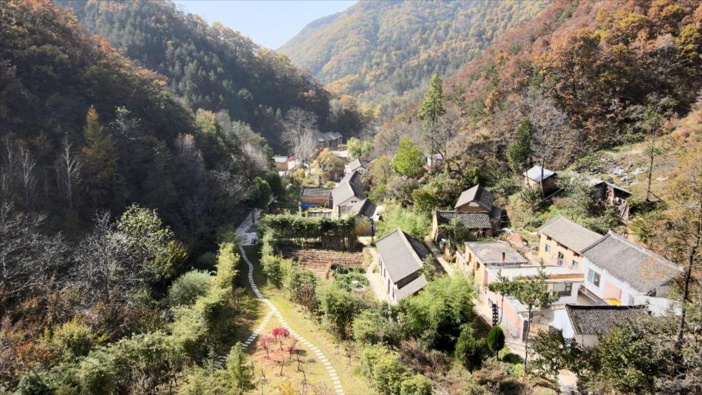 “拯救”老屋 运营乡村——伏牛山区“空心村”盘活记