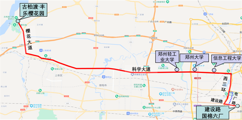 郑州：今起 开通3条赏樱专线直达花海