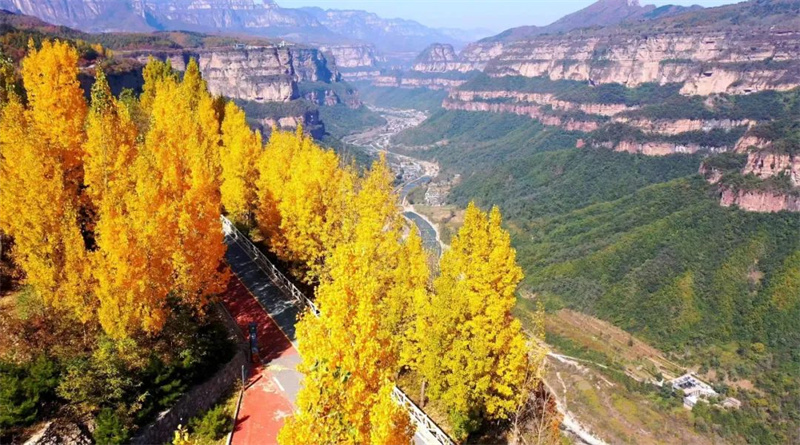 【行走河南·读懂中国】来自秋日石板岩的一封信：树树皆秋色 山山唯落晖