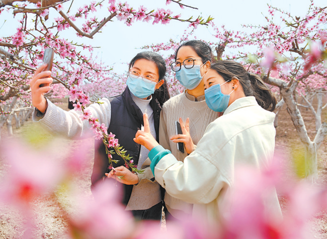 花海醉游人