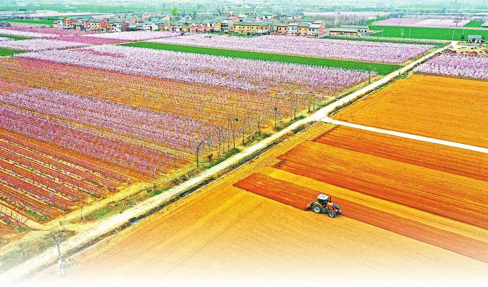 Spring Plowing Underway in Mengzhou