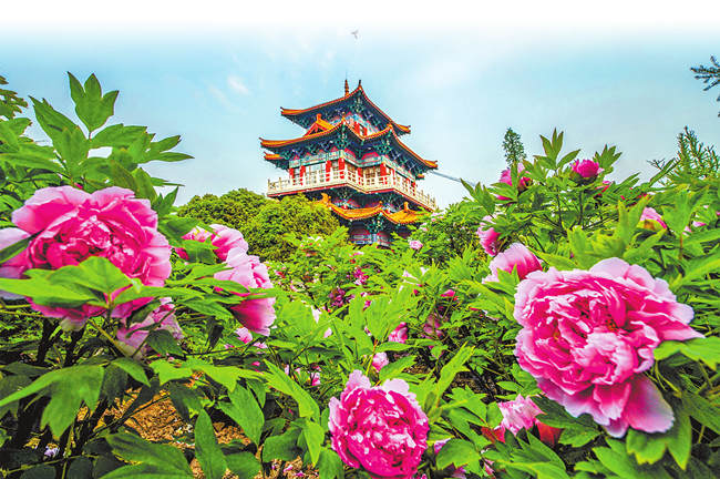 第39届中国洛阳牡丹文化节开幕