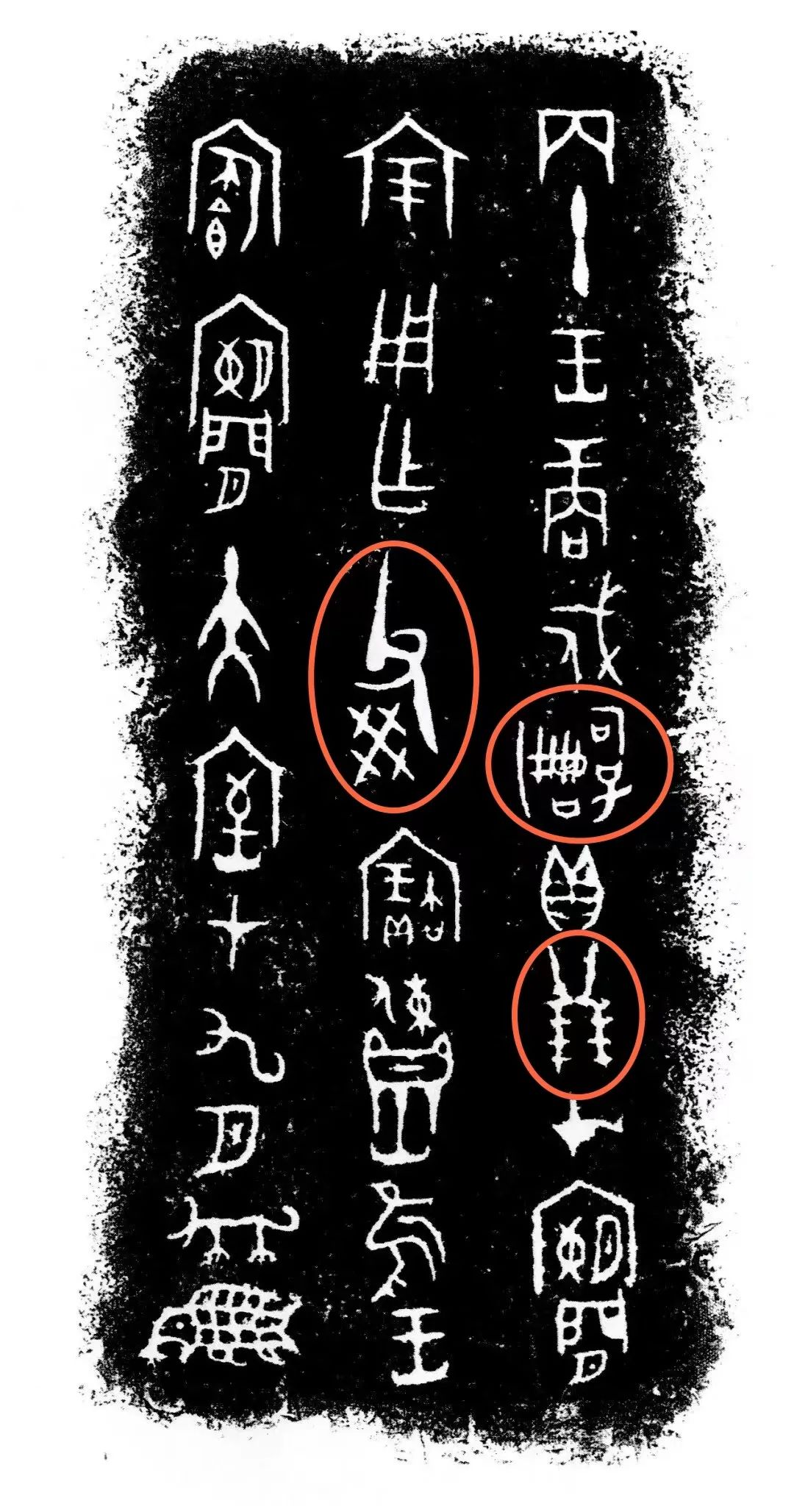 殷墟文化丨殷墟文物之商代戍嗣子鼎