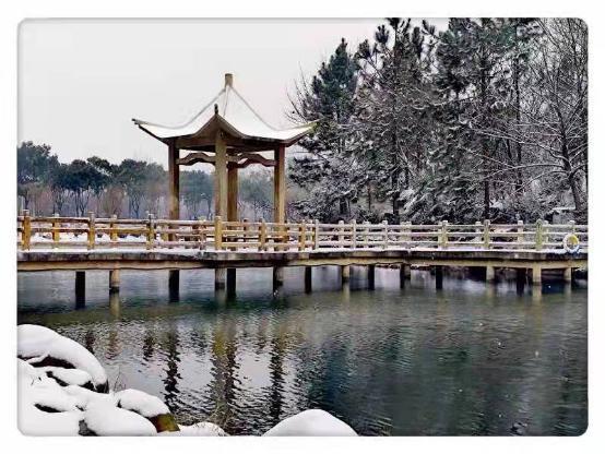 河南农业大学雪景图片